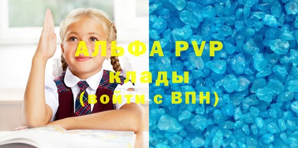 стаф Алексин