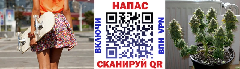 Бошки Шишки White Widow  площадка наркотические препараты  Волжский 